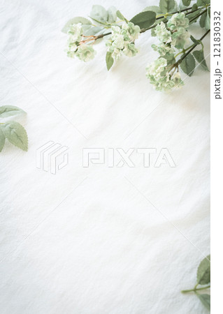 白いコットン生地に緑の植物のナチュラル背景素材 白いコットン生地に緑の植物のナチュラル背景素材 121830332