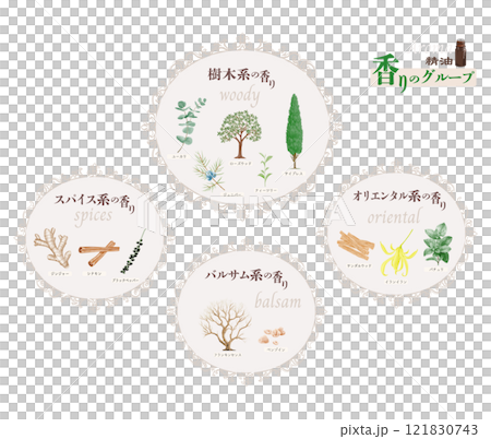 Classification of essential oil scents: Woody, Oriental, Spice, Balsam, Eucalyptus, Cypress, Juniper 121830743