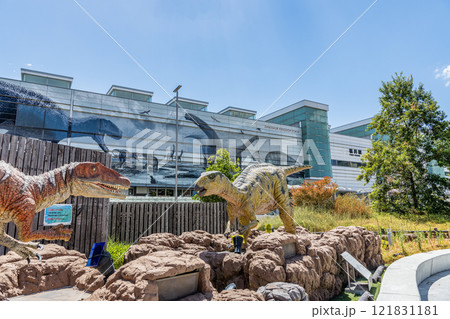 福井県福井市　快晴のJR福井駅西口と駅前の恐竜モニュメント 121831181