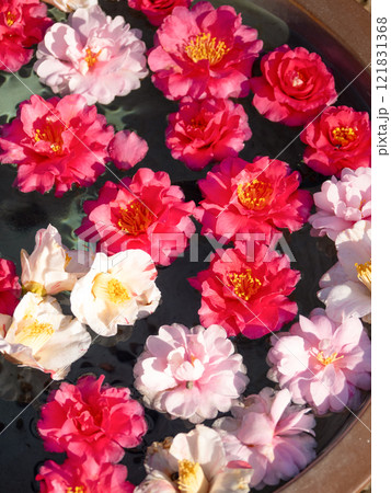 サザンカの花手水 121831368