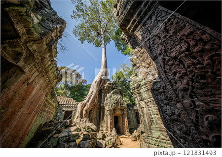 カンボジア　アンコール遺跡群　タ・プローム遺跡 121831493