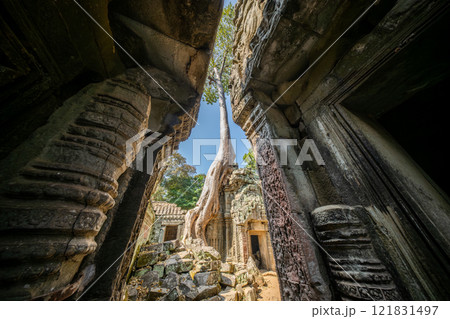 カンボジア　アンコール遺跡群　タ・プローム遺跡 121831497