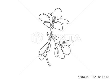 Single continuous line drawing beauty fresh freesia for garden logo. Decorative of herbaceous flower concept for home wall decoration poster print art. One line draw graphic design vector illustration 121831548