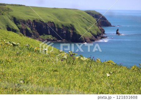 原生花園あやめヶ原周辺の眺望 121831608