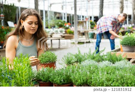 Interested girl choosing green thyme in pot in garden store Interested girl choosing green thyme in pot in garden store 121831912