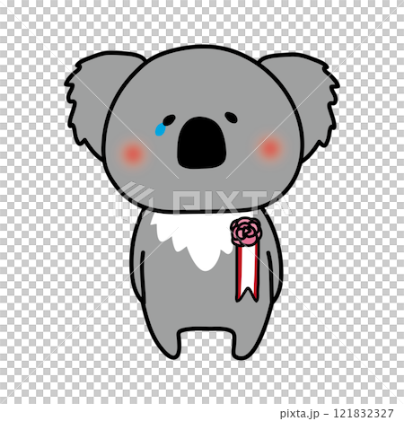 胸にコサージュを付けて泣いているコアラ 胸にコサージュを付けて泣いているコアラ 121832327