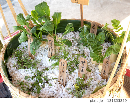 春の七草 七草かご 春の七草 七草かご 121833239