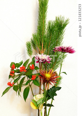 お正月 花瓶に飾る松、キク、千両などのお花 お正月 花瓶に飾る松、キク、千両などのお花 121833253
