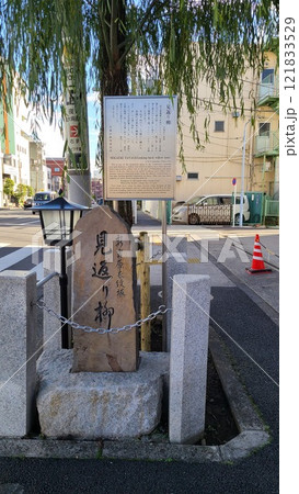 見返り柳 見返り柳 121833529