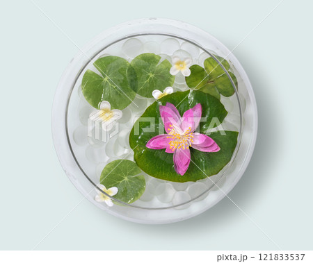 睡蓮と水草のあるガラスのアクアリウム。真上からのアングル 121833537