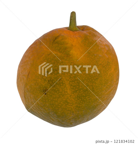 Bright orange fruit on white background, highlighting texture and color 121834102