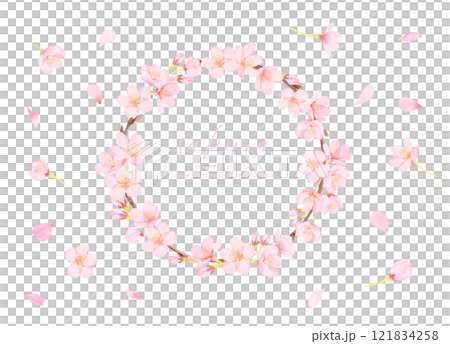 Beautiful cherry blossom vector illustration frame material 121834258