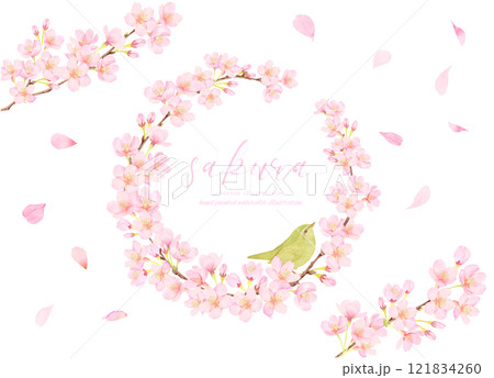 桜の花とウグイスのベクターイラストフレーム素材 121834260