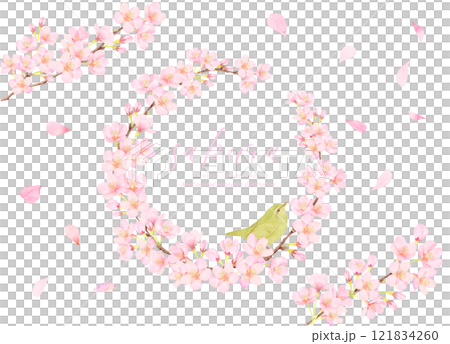 桜の花とウグイスのベクターイラストフレーム素材 121834260