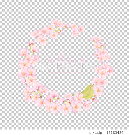 Cherry blossoms and bush warblers vector illustration frame material Cherry blossoms and bush warblers vector illustration frame material 121834264