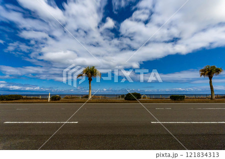 一ッ葉有料道路の夜景 121834313