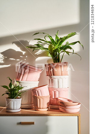 Lots of planters and flower pots on the dresser. Lots of planters and flower pots on the dresser. 121834694