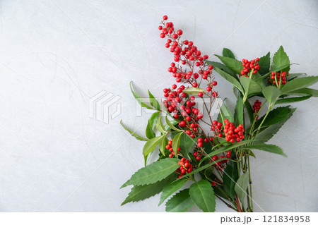 南天と千両 121834958