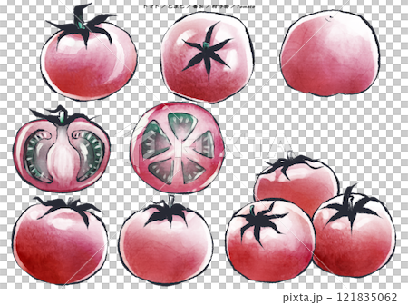 A calming ink painting of a tomato on a white background A calming ink painting of a tomato on a white background 121835062
