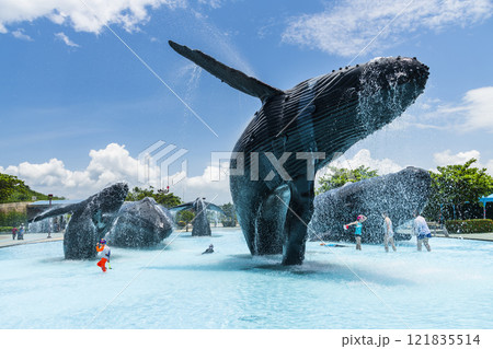 View of the Whale Water Square at the National Museum of Marine Biology and Aquarium in Kenting National Park of Pingtung, Taiwan. 121835514