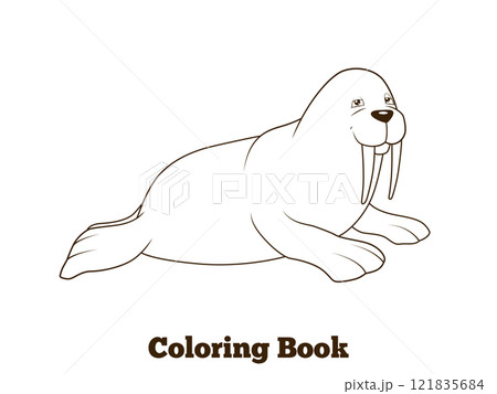 Walrus cartoon coloring book vector illustration Walrus cartoon coloring book vector illustration 121835684