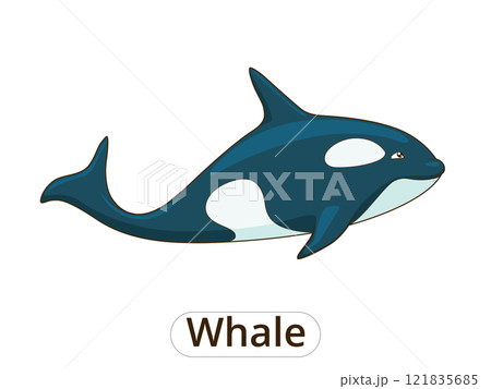 Whale orca cartoon vector illustration Whale orca cartoon vector illustration 121835685