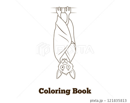 Coloring book forest animal bat cartoon 121835813