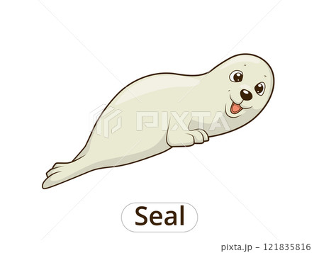 Seal cartoon vector illustration 121835816