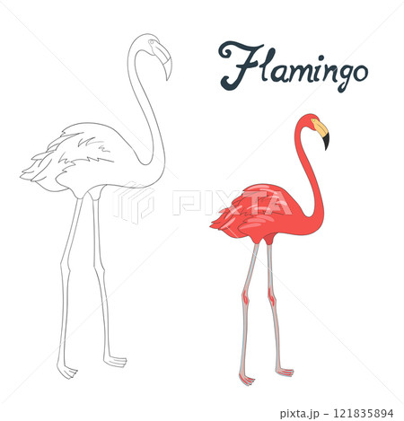 Educational game coloring book bird vector Educational game coloring book bird vector 121835894