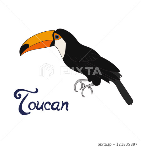 Bird toucan vector illustration Bird toucan vector illustration 121835897