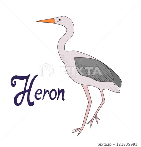 Bird heron vector illustration Bird heron vector illustration 121835993