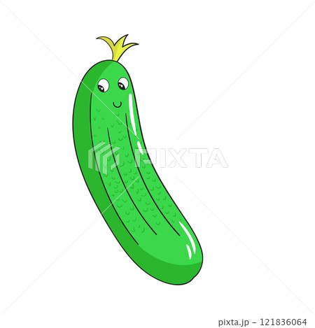Vegetable cucumber vector illustration 121836064
