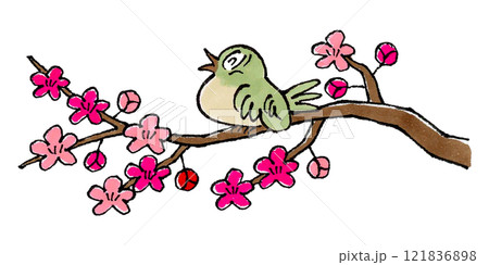 梅の枝にとまるウグイス(鳴く) 梅の枝にとまるウグイス(鳴く) 121836898