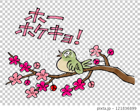 梅の枝にとまるウグイス(ホーホケキョの文字) 梅の枝にとまるウグイス(ホーホケキョの文字) 121836899