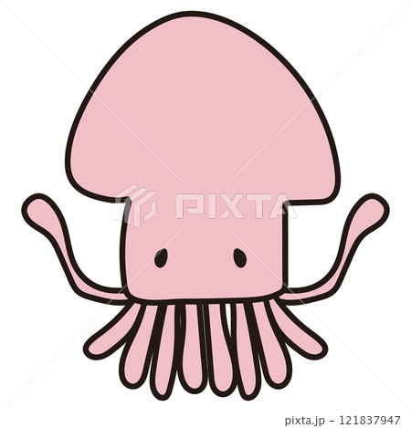 ピンク色のいか ピンク色のいか 121837947