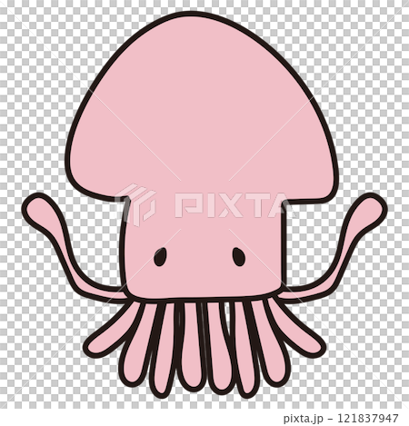 ピンク色のいか ピンク色のいか 121837947