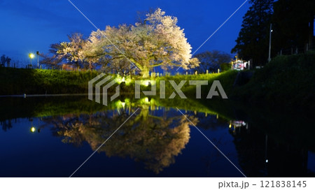 夜桜リフレクション 121838145