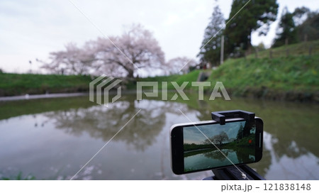 桜のリフレクション 121838148