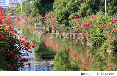 The beautiful view of the canal in city. The beautiful view of the canal in city. 121838592