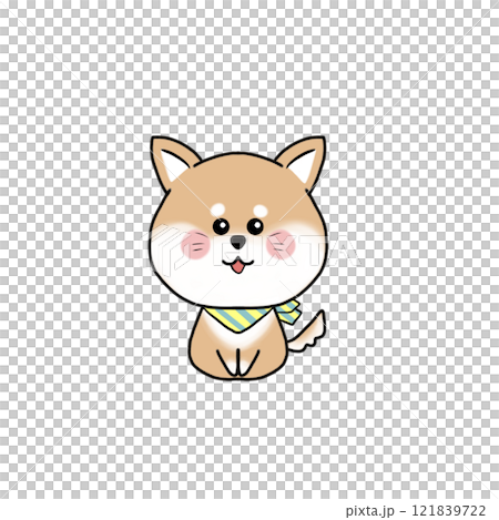 Shiba Inu 121839722