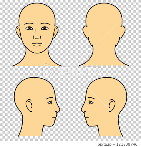 顔　前後左右　カラー 121839746