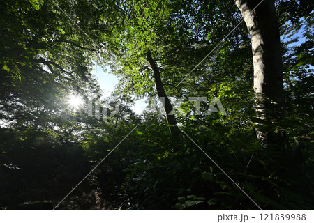 会津駒ヶ岳登山、福島県 121839988