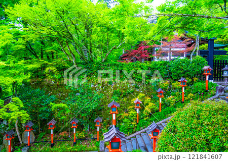 鞍馬寺の献灯篭と新緑 121841607