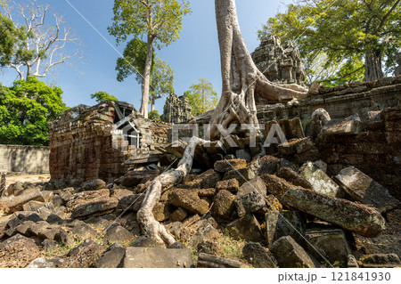 カンボジア　アンコール遺跡群　タ・プローム遺跡 121841930