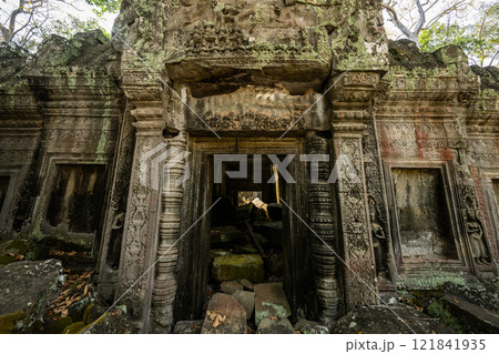 カンボジア　アンコール遺跡群　タ・プローム遺跡 121841935