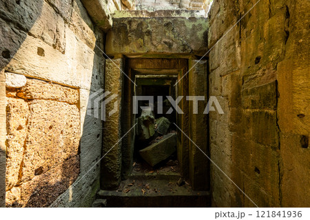 カンボジア　アンコール遺跡群　タ・プローム遺跡 121841936