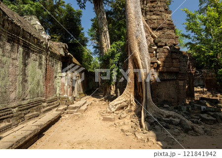 カンボジア　アンコール遺跡群　タ・プローム遺跡 121841942