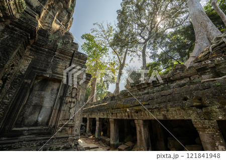 カンボジア　アンコール遺跡群　タ・プローム遺跡 121841948
