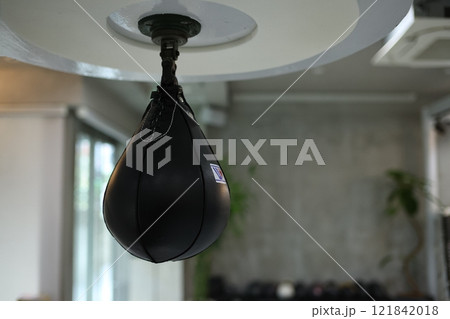 フィットネス|パンチミット フィットネス|パンチミット 121842018