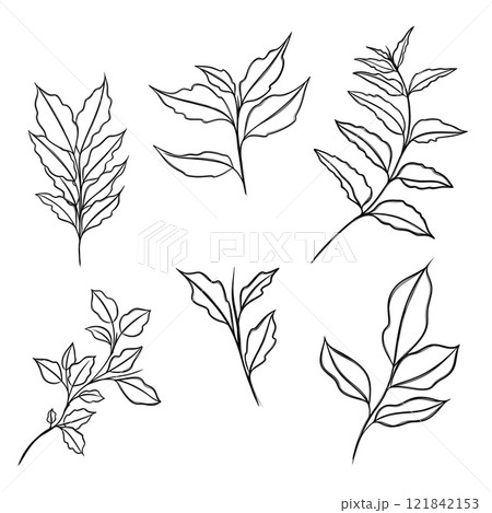 leaf pant line art. Minimalistic line drawing. leaf line art. Botanical drawing illustration by hand. 121842153